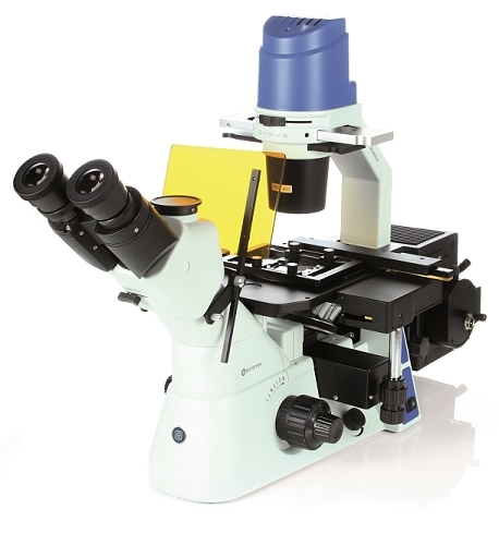 Mikroskop odwrócony Oxion Inverso ze stolikiem mechanicznym, fluorescencja, kontrast fazowy